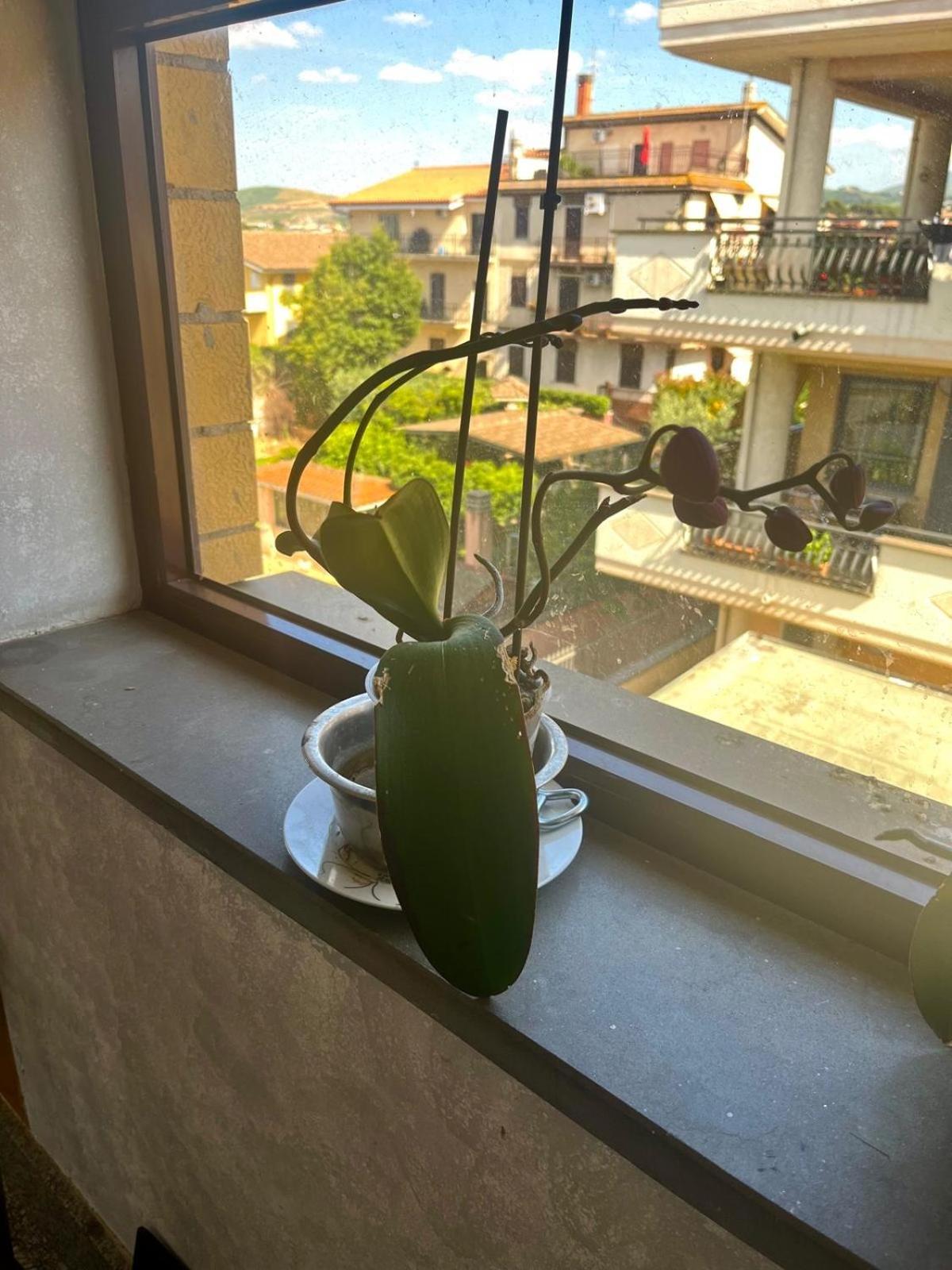 Al Capolinea Hotel Rome Buitenkant foto